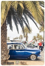 September 2025 Showcars Melbourne - Location: St Kilda